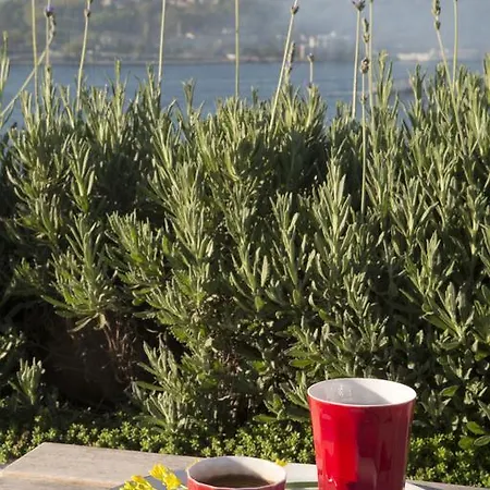 Ξενοδοχείο Witt Κωνσταντινούπολη
