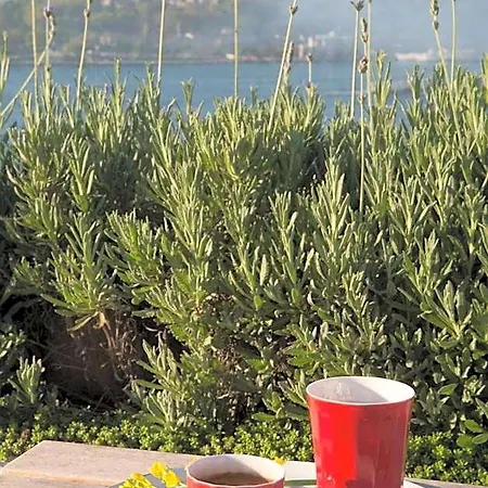 Witt Ξενοδοχείο 5*
