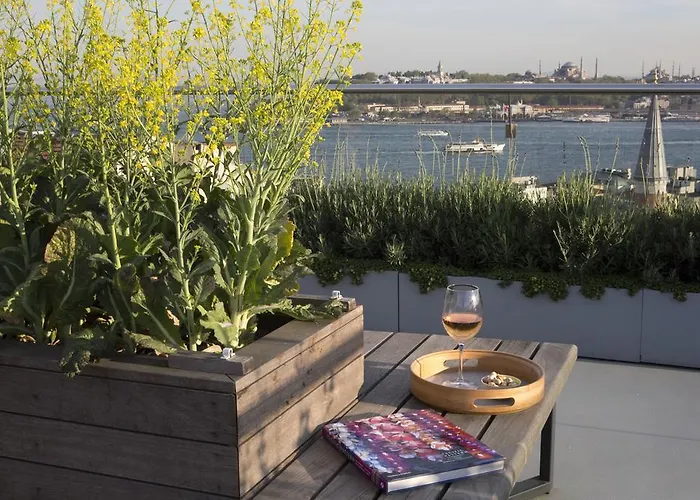 伊斯坦布尔威特套房酒店 酒店