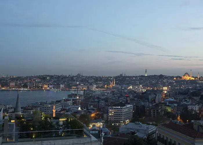 酒店 伊斯坦布尔威特套房酒店