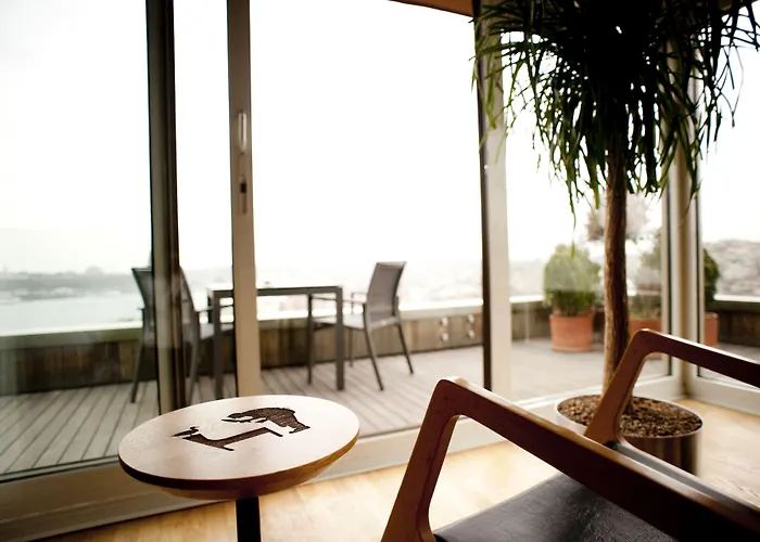 酒店 伊斯坦布尔威特套房酒店 伊斯坦布尔