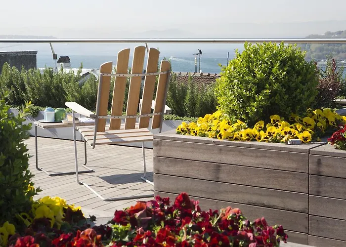 酒店 伊斯坦布尔威特套房酒店 5*